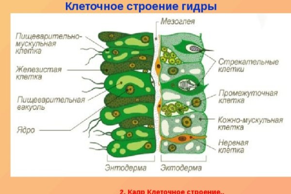 Что с кракеном сайт