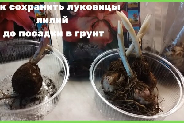 Настоящий сайт kraken