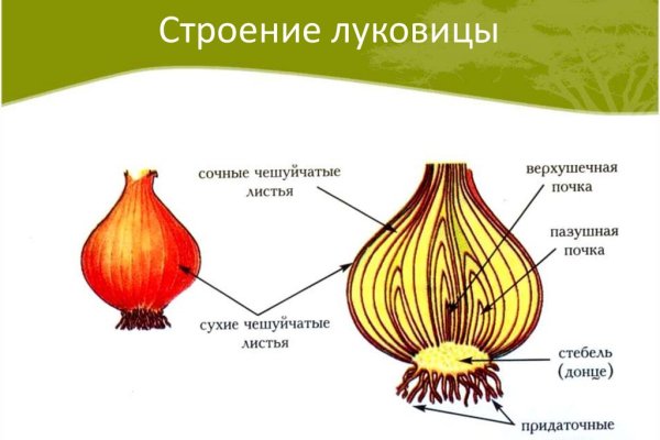 Кракен актуальная ссылка