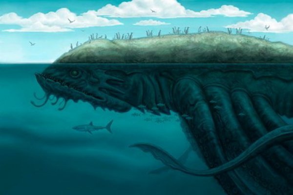 Кракен почему не заходит