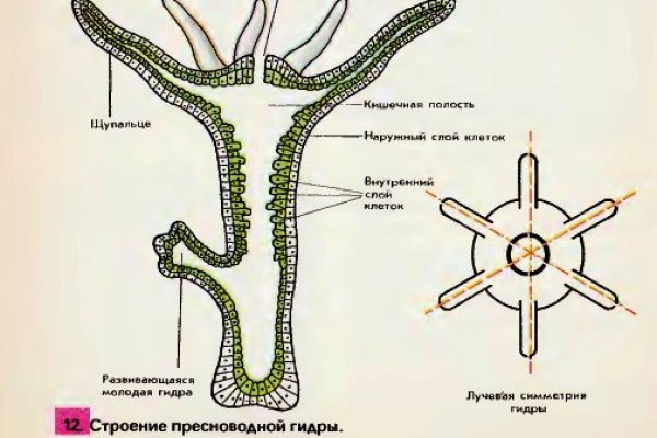 Kraken зеркала gigageek ru